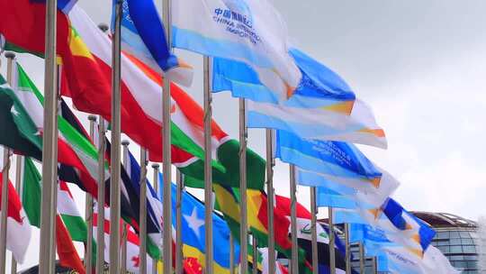 上海第八届 进博会私人飞机展