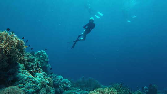 女子自由潜水员在海里游泳