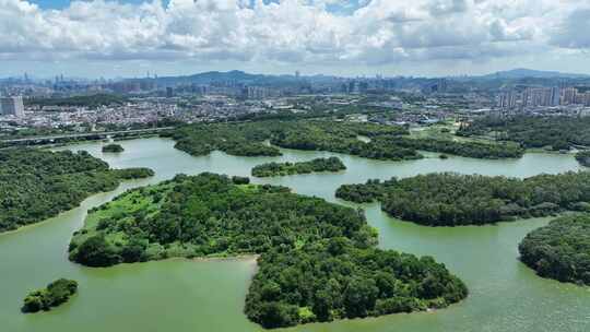 深圳松山湖城市水库湖面风景城市绿化宣传片