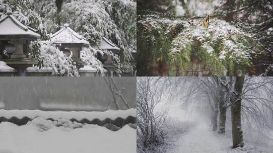 冬日寂静路上的自然雪景空镜头