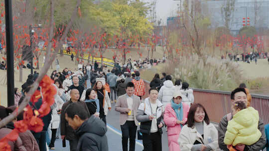 节假日公园休闲人群散步