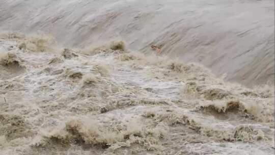 夏天汹涌的洪水 黄河母亲河视频素材模板下载