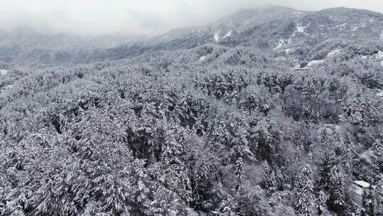 航拍唯美冬季雪景