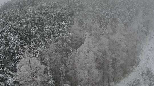 金华山双龙景区 雪景