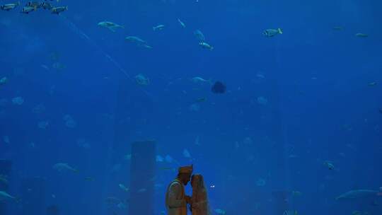 室内水族馆，婚前协议，男人，女人