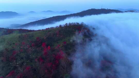 4K秋天五花山吉林东北秋景日出云海云雾逆光