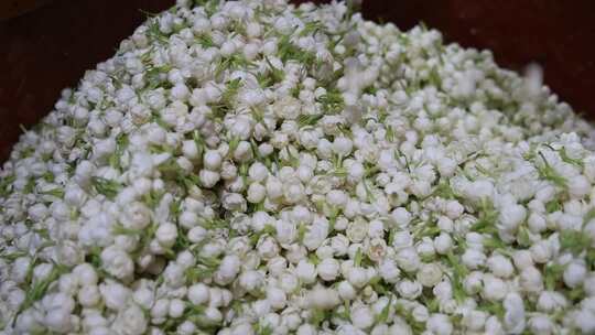 升格慢动作微距特写茉莉花与茉莉花茶制作