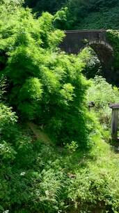 风景这边独好，享受大自然的美，治愈系风景