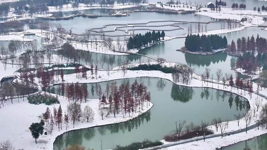 航拍湿地公园雪景树林湖岛