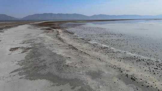 湖岸，沙漠，空中，荒凉