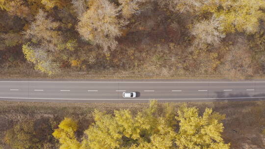 航拍道路上行驶的汽车