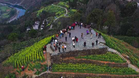 安徽黄山石潭油菜花