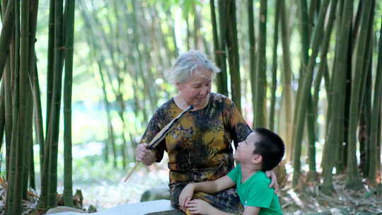 炎热夏天竹林里摇扇子 老奶奶给孙子讲故事视频素材模板下载