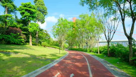 阳光林荫小路 跑道 绿道 骑行道