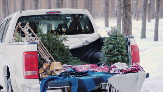 男人把圣诞树放在皮卡的后车箱里