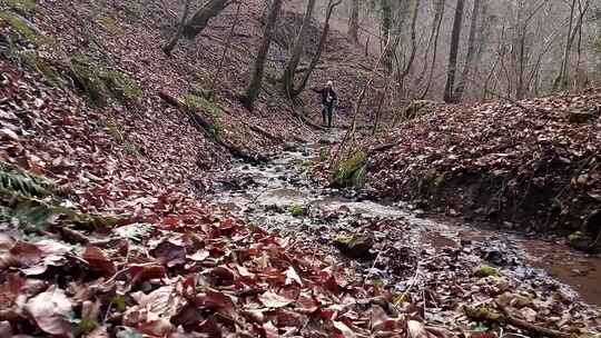 一个女人带着她的狗在森林山上奔跑