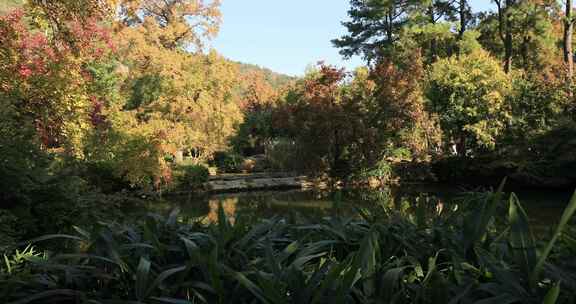 秀丽苏州天平山秋天景色