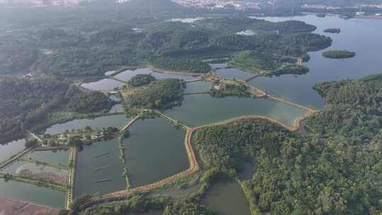 东莞市同沙生态水库公园航拍