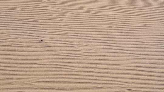 沙漠沙丘表面沙纹线