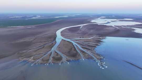 江西鄱阳湖湿地生命之树景观航拍