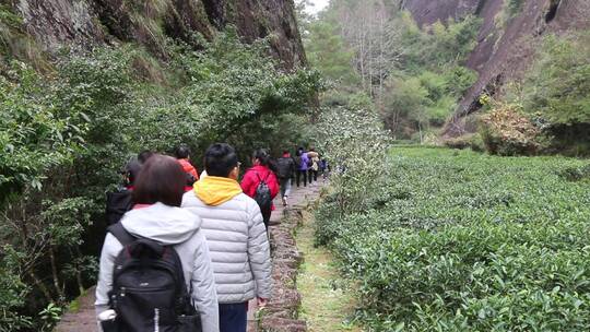 大家在武夷山踏青游玩