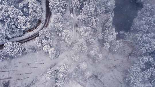 航拍雪后树林与蜿蜒道路中的行人