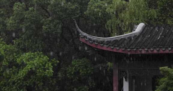 夏季雨中中式园林庭院屋檐雨滴