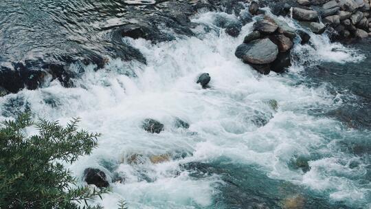 流水 溪水 溪流 大自然 河水