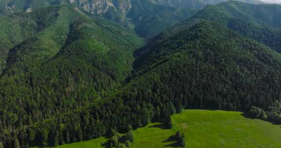 航拍带有高山和森林的景观