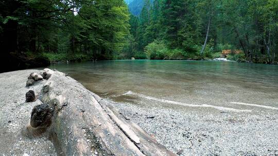 宁静山谷的溪水在岸边静静起伏视频素材模板下载