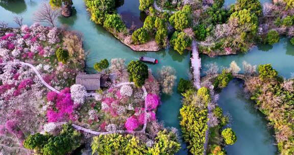 杭州西溪湿地梅花江南水乡小船惬意春游