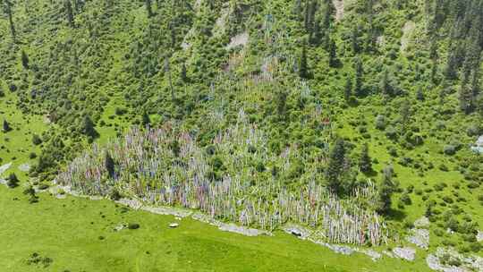 川西高原五彩经幡挂在山上飘舞