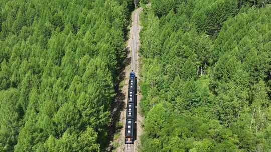 内蒙古莫尔道嘎国家森林公园旅游观光小火车