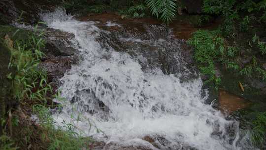 山上溪流泉水