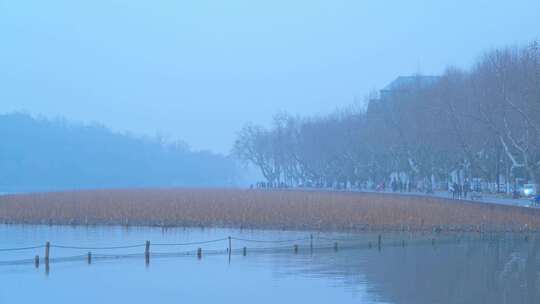 雾西湖风景