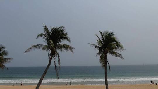 航拍海边椰子树 沙滩