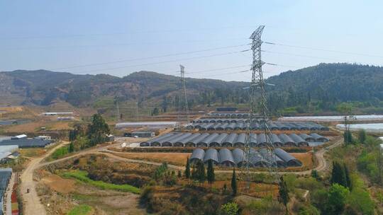 多肉种植基地航拍视频素材模板下载