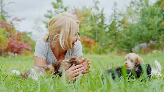 女孩和小狗在草地上玩耍