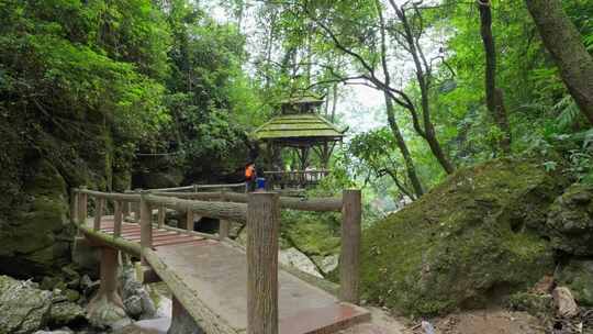 成都青城山后山峡谷森林步道溪流自然景观