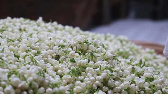 升格慢动作微距特写茉莉花与茉莉花茶制作