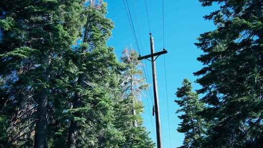电线杆电线老式电线杆森林树林蓝天