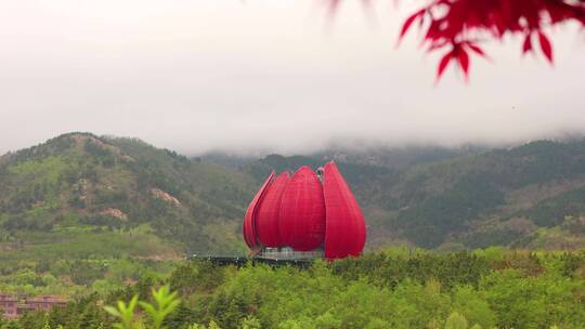 山雾 飞鸟 青岛世博园