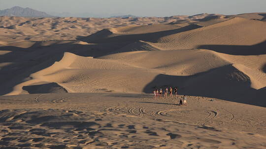 沙漠上的一群游客