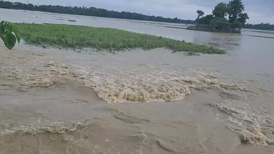 浑浊湍急的河流冲击着岸边的草地