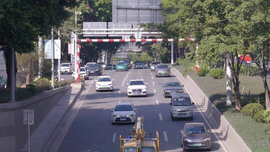 街头   车流 人流  十字路口   城市街头