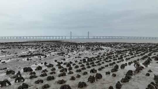 航拍泉州海蛎滩 海蛎田 捕捞生蚝的海滩