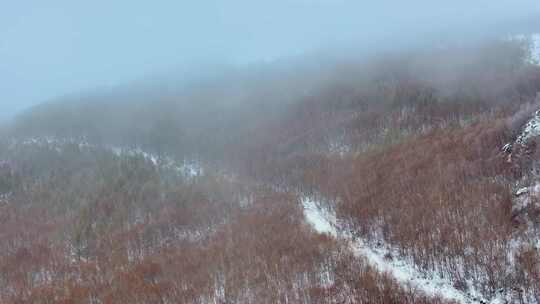 4k航拍车辆行驶在雪后的山林中