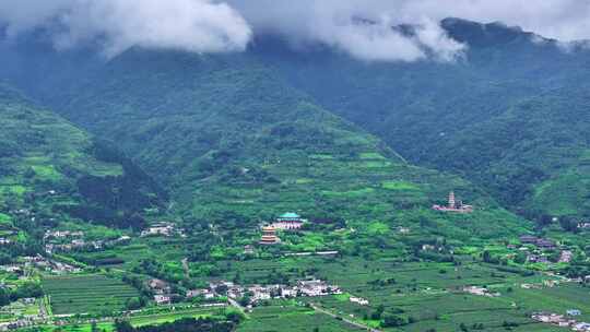 山川云雾 高山 森林植被