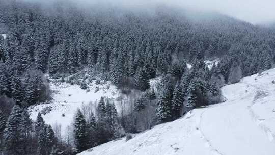 航拍冬天雪后的山林