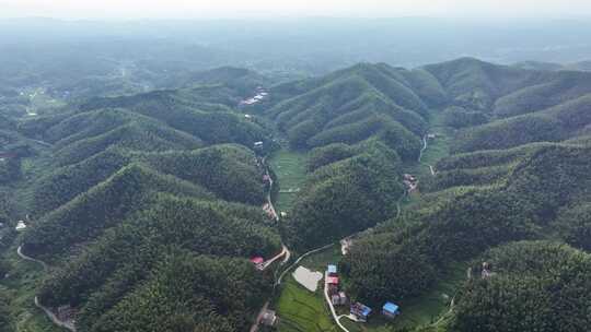 蓝天白云航拍美丽和美乡村大面积竹海、稻田